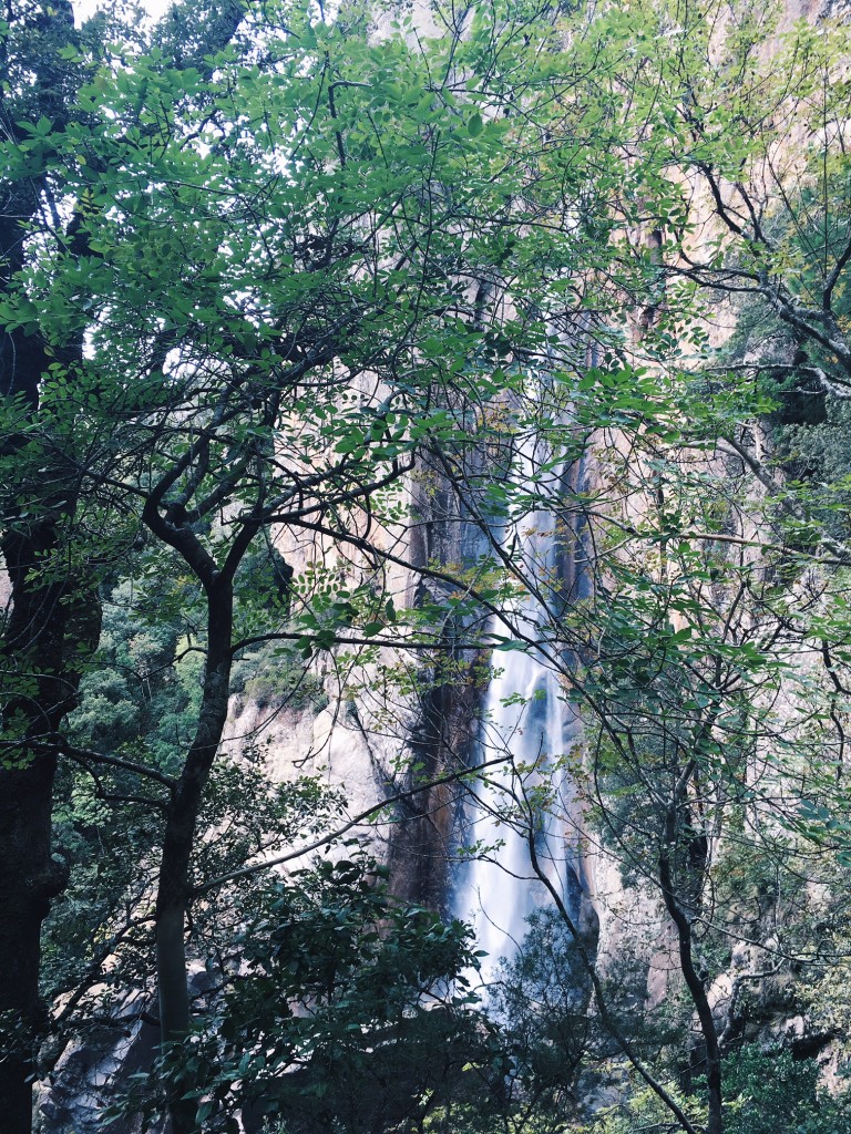 Processed with VSCO with hb2 preset