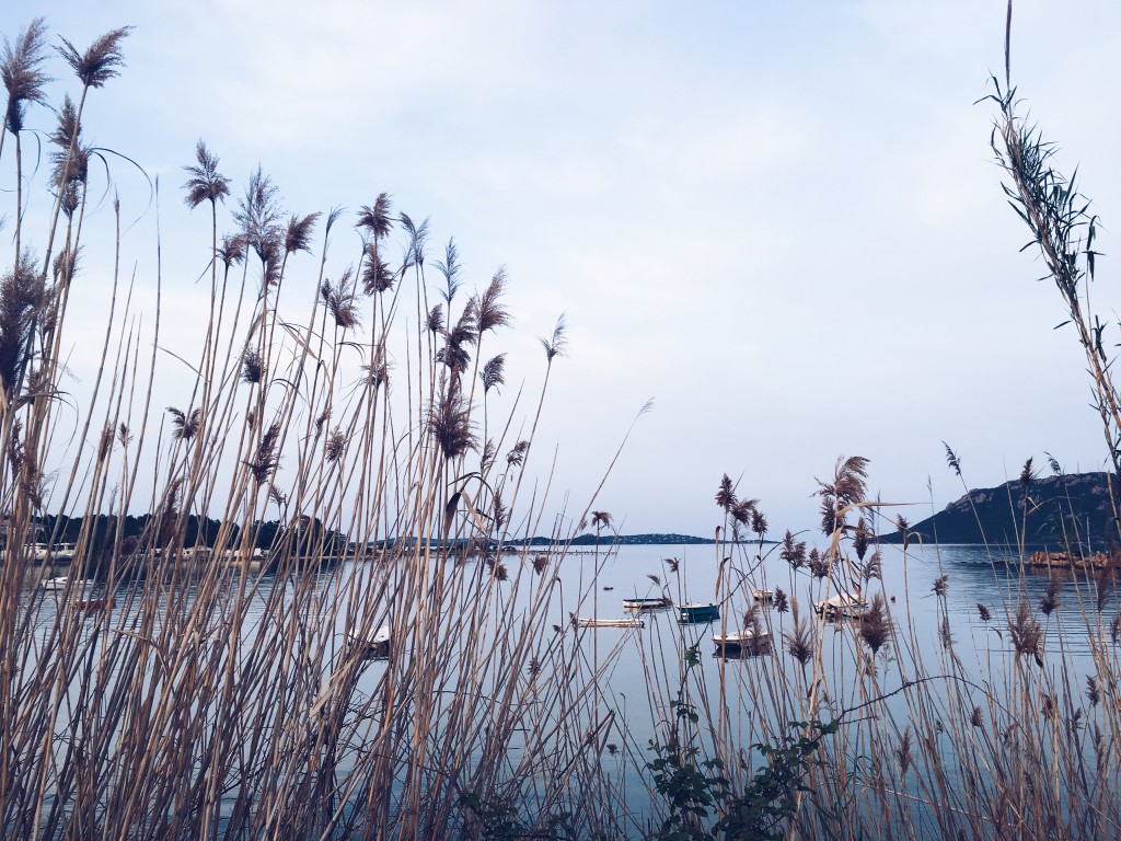 Processed with VSCO with a5 preset