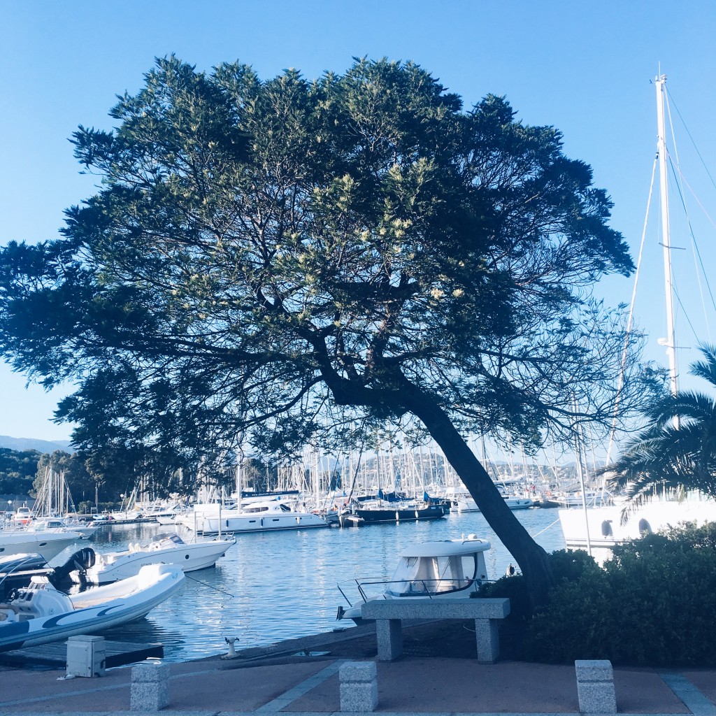 Processed with VSCO with a5 preset