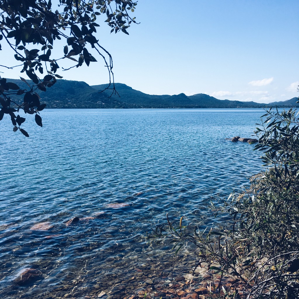 Processed with VSCO with a5 preset