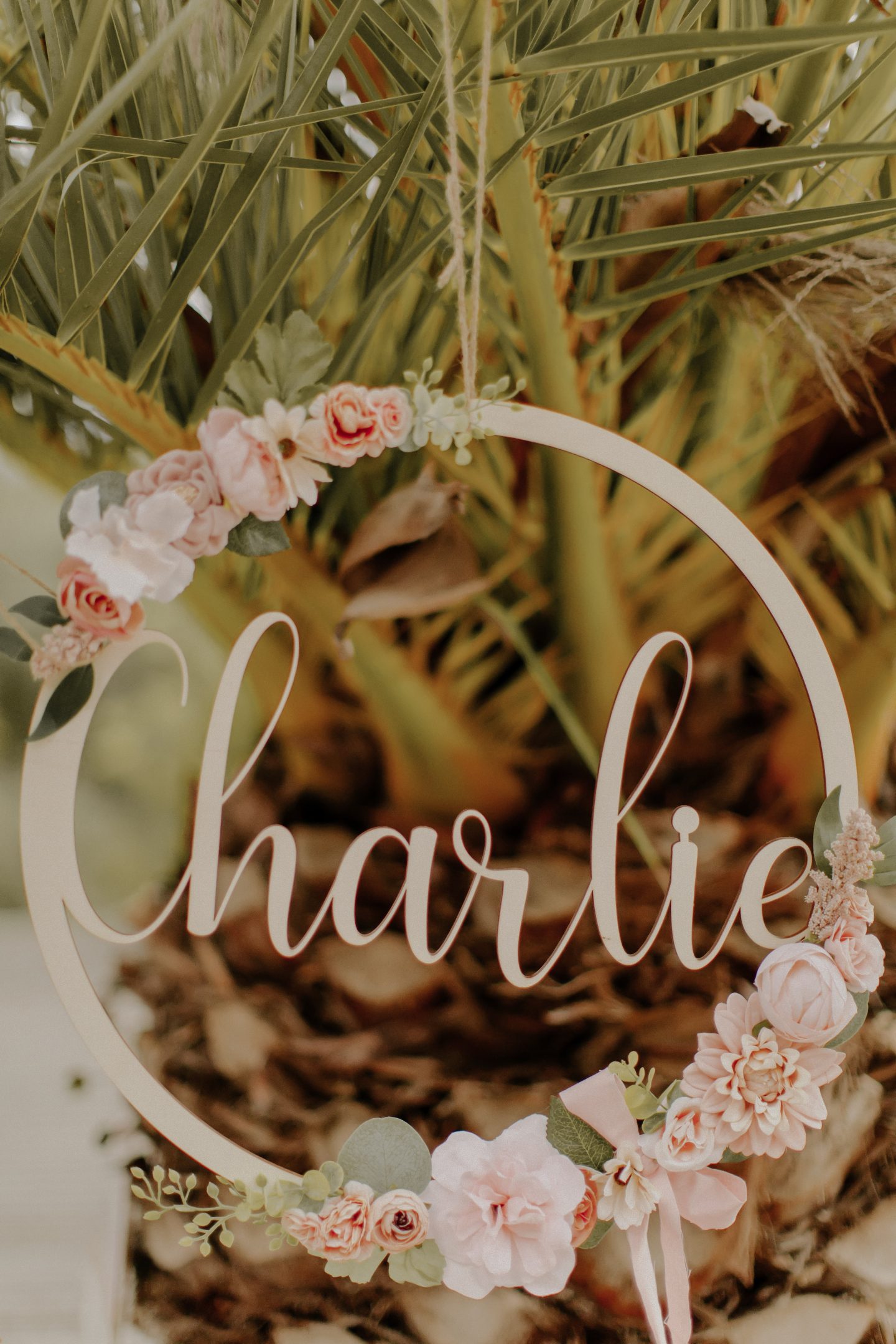 Thomas-Carlotti-photographe-10